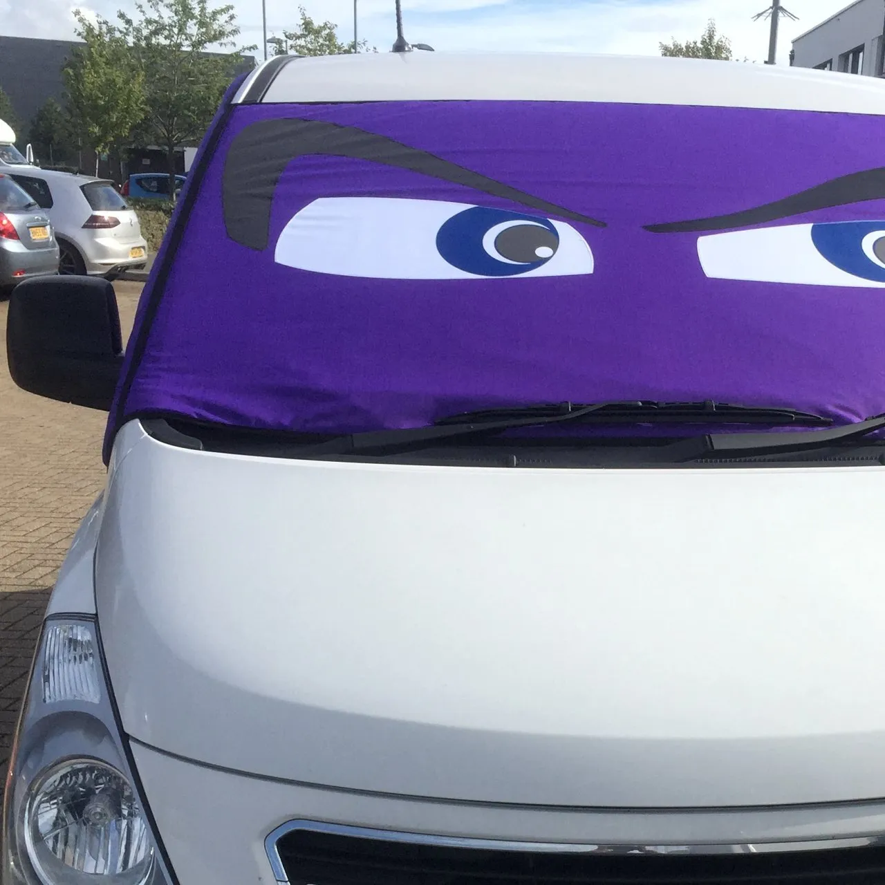 Rainbow Screens Hyundai Screens